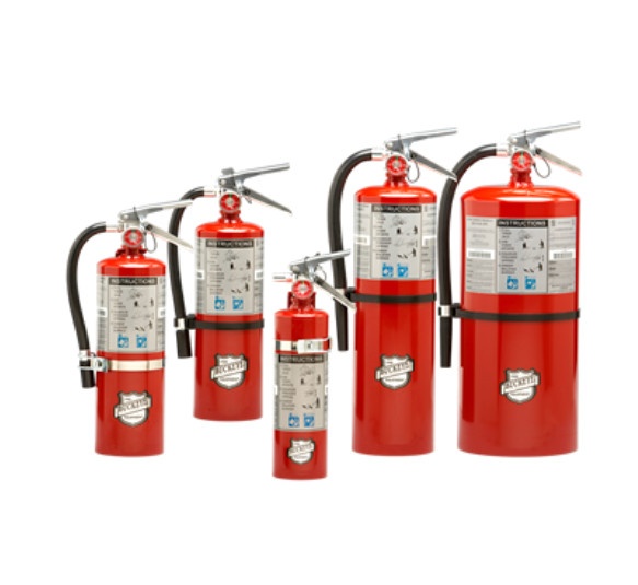 Standard (BC) Dry Chemical Buckeye Fire Extinguishers