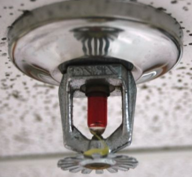 Wet Pipe Sprinkler Head Wet Pipe Sprinkler Head